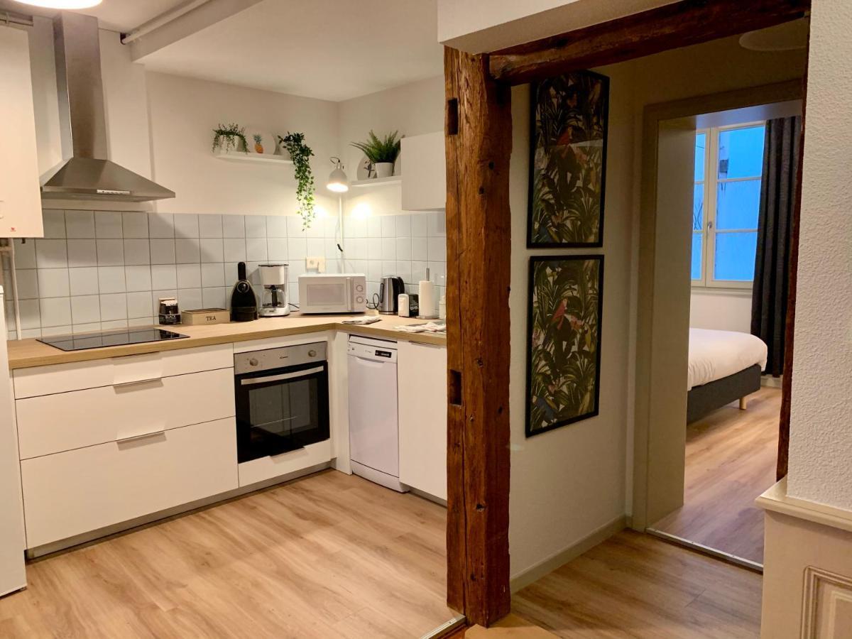 Appartements des 2 Têtes Colmar Exterior foto