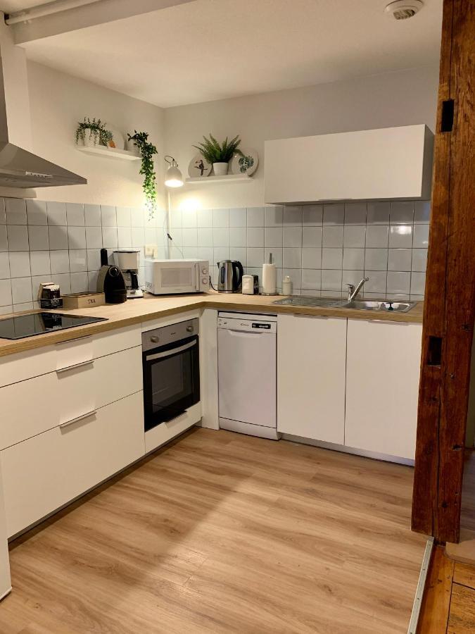 Appartements des 2 Têtes Colmar Exterior foto