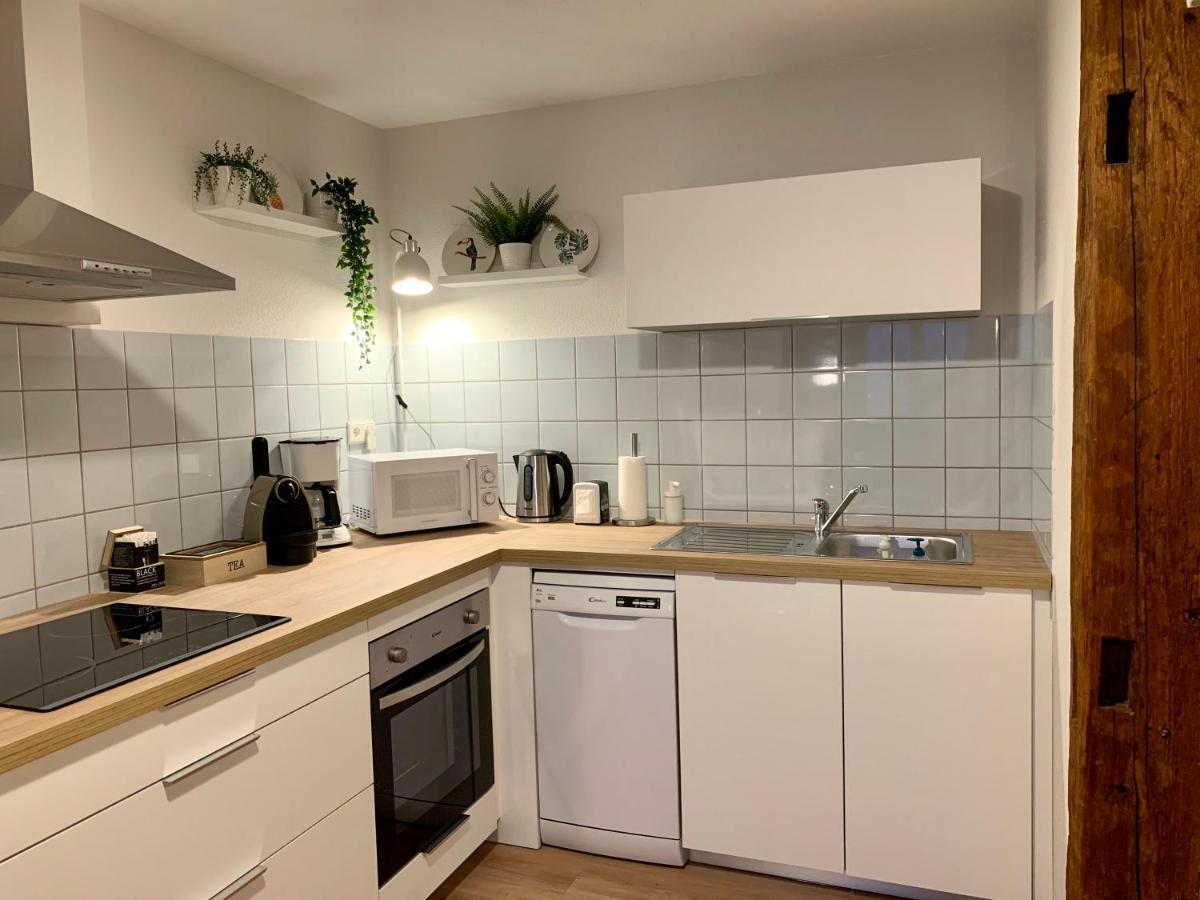 Appartements des 2 Têtes Colmar Exterior foto